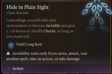 Baldur's Gate 3 Class Guide Ranger - Hide in Plain Sight Class Action