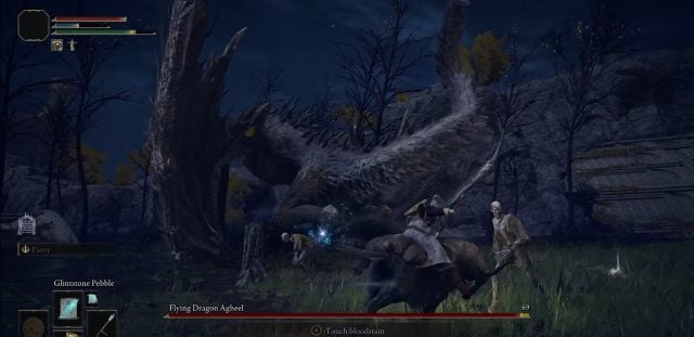 Flying Dragon Agheel Boss Fight